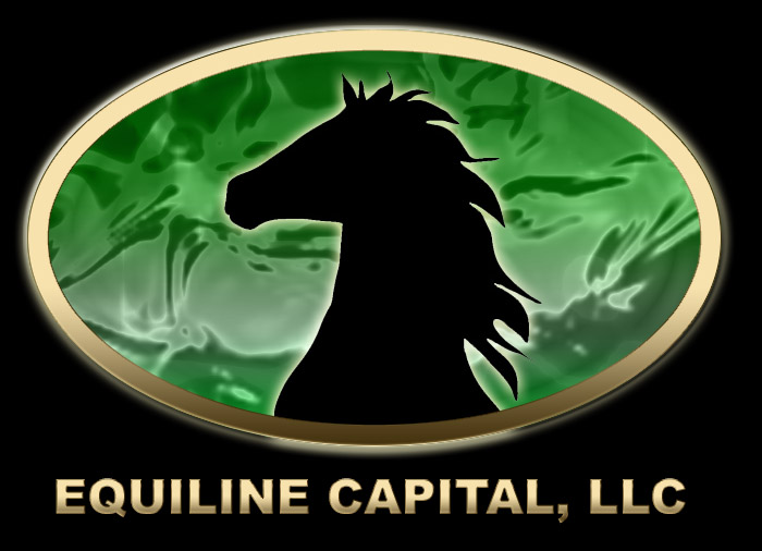 Equiline Capital, LLC – Management and Sales Management Techniques Logo